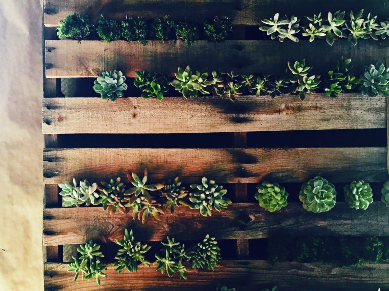 2015-09-19 14.12.17-1