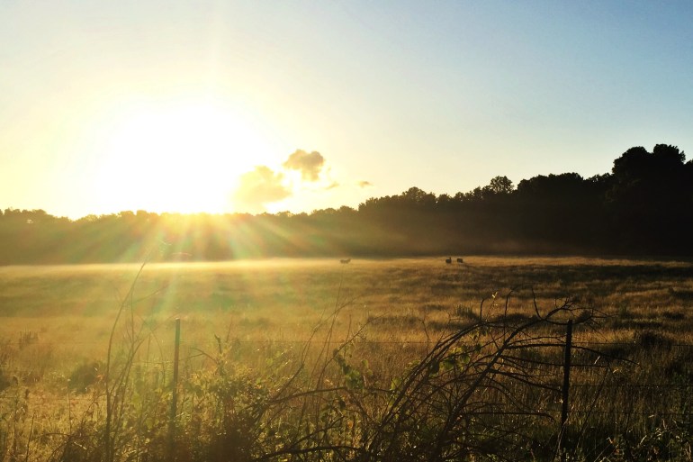 IMG_0598